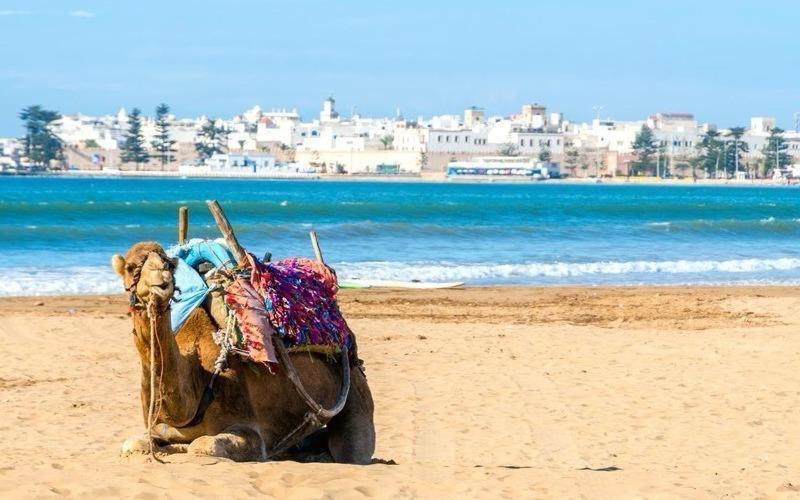 Appartement Essaouira Proche De La Mer ภายนอก รูปภาพ